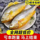 【順豐包郵】山東大黃花魚(yú)深海大黃魚(yú)現捕速凍鮮活大海魚(yú)鮮海鮮 2條大號黃花魚(yú) 每條400克左右