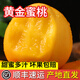 灃御園丹東黃金蜜桃 芒果桃黃肉油桃送禮禮盒新鮮應季黃桃水果 9枚果王禮盒裝4.5-5斤