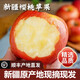 教蔬鮮生 新疆櫻桃小蘋(píng)果【順豐直達】脆甜阿克蘇冰糖心蘋(píng)果香妃小蘋(píng)果原 5斤櫻桃蘋(píng)果中果 順豐/JD