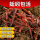 糜嵐（MieLanat）牛糞紅蚯蚓活餌鮮活魚(yú)餌紅蟲(chóng)野釣盒裝蚯蚓鯽魚(yú)鯉魚(yú)食湖庫餌料小藥 一斤蚯蚓大號+送營(yíng)養土+送蚯蚓