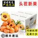 儲褚云南蒙自枇杷 應季新鮮孕婦水果 枇杷大果 順豐發(fā)貨 中秋禮盒裝 特大果（65粒之內）5斤精選