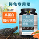 YEE鱷龜專(zhuān)用糧飼料北美雜佛小鱷龜爆刺龜糧食物 小粒1.5mm 2500ml+蝦干