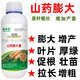 耕豐旺山藥膨大素山藥膨大劑拉長增產(chǎn)鐵棍山藥淮山藥麻山藥膨大增產(chǎn) 山藥增產(chǎn) 500克x2瓶