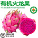 諸氏橙品【有機】火龍果 新鮮現摘紅心火龍果 攀枝花孕婦水果生鮮禮盒【精選5斤大果禮盒裝】約5-6枚