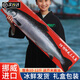 尚致挪威三文魚(yú)整條冰鮮11-12斤三文魚(yú)刺身進(jìn)口大西洋鮭海鮮中秋禮盒 三文魚(yú) 【發(fā)整條11-12斤】 6kg
