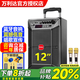 萬(wàn)利達（Malata）M+9087廣場(chǎng)舞音響戶(hù)外K歌拉桿音箱大音量藍牙演出會(huì )議團建露營(yíng)唱跳歌大功率無(wú)線(xiàn)話(huà)筒重低音炮 12寸M+9087+雙話(huà)筒