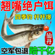谷蜀香翹嘴餌料釣大翹嘴專(zhuān)用餌料秋冬翹嘴泡泡球口神餌野河冬釣專(zhuān)拉米級 一瓶【翹嘴餌料】逗釣一體