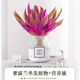 壹植紫露蘭盆栽無(wú)土水培植物高端花卉室內(nèi)花油畫(huà)婚禮吊蘭綠植四季好養(yǎng) 紫露蘭單發(fā)植物(不含花瓶)+營(yíng)養(yǎng)液