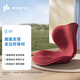 樂班l(xiāng)eband 花瓣坐墊 護(hù)腰塑形靠背美臀脊椎矯正坐姿立體包臀保護(hù)骨盆 網(wǎng)紅花瓣坐墊-玫瑰紅