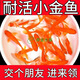 【特價魚】養(yǎng)不死的草金魚觀賞魚招財小金魚批發(fā)耐活好養(yǎng)冷水活魚 3-5 厘米 10 條送備損