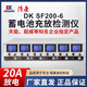 DEKANG;DKDK得康6路鉛酸蓄電池檢測儀放電儀測試儀電動(dòng)車(chē)德康充放電檢測儀 SF200-6