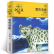 新華書店正版 沈石溪品藏書系動(dòng)物小說(shuō)全集40冊(cè)禮盒裝新老版本隨機(jī) 狼王夢(mèng)沈石溪的書全套系列第七條獵狗 雪豹悲歌 海豚之歌9-10-12-15歲兒童文學(xué) 學(xué)生課外書 雪豹悲歌