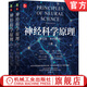 神經(jīng)科學(xué)原理 英文版原書(shū)第6版 埃里克 坎德?tīng)?約翰 凱斯特 神經(jīng)科學(xué) 心理學(xué)書(shū)籍