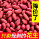 【5斤大降價】紅皮花生米農(nóng)家小粒生花生仁四粒紅紅衣花生米自種 紅皮花生米-精選【5斤】
