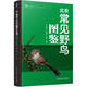 北京常見(jiàn)野鳥(niǎo)圖鑒