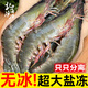 北海灣 蝦 青島大蝦鮮活冷凍基圍蝦 蝦類 海鮮水產(chǎn)生鮮白蝦青蝦海蝦對蝦 鹽凍大蝦 3.6斤(凈重)  15-17cm【單只凍 無冰衣】