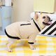 DADAGOU法國斗牛犬專(zhuān)用棉衣服春秋冬法斗英斗八哥沙皮兩腳馬甲加厚保暖 【卡其】斗牛拉鏈兜棉衣 XXL 參考26-32斤 胸圍68 頸圍48