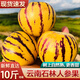 譯優(yōu)農云南石林人參果樹(shù)上熟七彩新鮮人生果黃肉圓果新鮮當季水果清甜 帶箱9.5-10斤特大果【甄選裝】