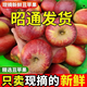 富銘士24年新果云南昭通冰糖心丑蘋果新鮮水果整箱現(xiàn)摘脆甜紹通野生蘋果 5斤85-90特大果正宗丑蘋果