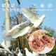 初土記 乳鴿 1.1斤/2只土鴿 農(nóng)家散養(yǎng)現(xiàn)殺鴿子肉 新鮮乳鴿肉鴿 月子煲湯