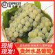 青櫻紅荔【順豐直達】貴州水晶葡萄新鮮青葡萄農(nóng)家時令孕婦水果綠提子端午 精選 5斤【超值裝】 (安全氣柱包裝-順豐送貨上門)