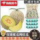 玫梔 靜岡玫龍蜜瓜 順豐直達 國內(nèi)種植哈/密瓜牛三網(wǎng)紋蜜瓜年貨節(jié)禮盒 8斤 （4枚） 甄選禮盒裝