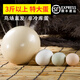 楚鄂云數 鴕鳥(niǎo)蛋特產(chǎn)大號鴕鳥(niǎo)蛋3斤以上春節送禮佳品帶禮盒底座端午節撞蛋