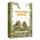【信誼】青蛙和蟾蜍 （套裝4冊）（5-10歲）凱迪克銀獎幼小銜接橋梁童書繪本暑假作業(yè) 一升二暑假銜接 小升初暑假銜接
