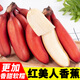 千果娘娘自然熟紅美人香蕉新鮮超甜軟糯大紅色皮海南福建廣西土樓孕婦水果 凈重3斤【嘗鮮裝】