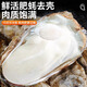 生蠔肉 高品質(zhì)新鮮生蠔肉鮮活現(xiàn)剝?nèi)ずｕr即食海蠣子牡蠣 去殼生蠔肉5斤裝