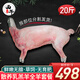 西牛優(yōu)選羊肉 生鮮新鮮現(xiàn)殺半只羊套餐羊排蝎子燒烤火鍋食材年貨禮盒 全羊20斤