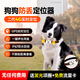 智匯寵物定位GPS追蹤器 狗狗貓咪定位器牛羊防丟項圈動物防走丟神器 狗款精準(zhǔn)定位+鈴聲尋找+收到即用 4G智能版防走失北斗雙星定位儀