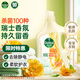 滴露（Dettol）衣物柔順劑持久留香升級版除菌液金盞花2.5L柔軟劑衣物消毒液母嬰