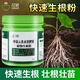 花諾生根粉快速生根壯苗花肥料樹(shù)木移栽植物扦插花卉果樹(shù)通用生根劑 生根粉500g*1瓶