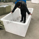 黛博拉養(yǎng)魚大膠桶 塑料水箱加厚長方形水槽家用大號牛筋盆水缸水產(chǎn)養(yǎng)龜 厚500L水箱長132寬81高63CM