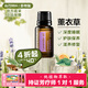 多特瑞（DOTERRA）檸檬精油單方茶樹野橘薰衣草椒樣薄荷乳香生姜按摩油 薰衣草15ml【深度睡眠】