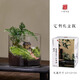 八芽趣味鮮活苔蘚微型景觀創(chuàng)意室內(nèi)桌面生態(tài)綠植盆栽盆景懶人好養(yǎng)植物 山野人家A款-禮盒定制款 帶玻璃杯