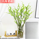 一名花匠雅卉龍柳干樹(shù)枝水培龍柳鮮枝水養懶人植物室內客廳落地長(cháng)桿鮮花 40-50厘米高無(wú)分叉10棵