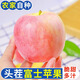 隴百味嘎啦蘋果25年新鮮現(xiàn)摘山西運(yùn)城脆甜當(dāng)季應(yīng)季時(shí)令水果整箱產(chǎn)地直發(fā) 凈重4.5斤單果65mm+【泡沫托裝】
