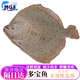 裕琳瓏 多寶魚 新鮮海捕鮮活冷凍偏口魚八寶魚刺少肉多海鮮水產(chǎn)生鮮魚類 已殺好 多寶魚5條 (1-1.3斤/條)