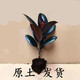 種花迷橡皮樹(shù)黑金剛盆栽植物室內(nèi)吸甲醛客廳凈化空氣四季綠植花卉 橡皮樹(shù)20-25高（1顆）
