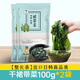 樸小樣烘干裙帶菜 干貨兒童裙帶菜整顆高泡發(fā)海帶寶寶裙帶菜嫩葉100g 200g 簡裝 干裙帶菜