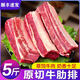 原切牛肋排5斤內(nèi)蒙古黃膘牛排四肋牛排骨新鮮帶肉黃牛肉牛腩商用 原切牛肋排5斤