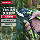 得力修枝剪刀 SK5鋼省力款 果樹剪花枝剪園林園藝剪刀修枝神器8英寸