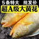 黃花魚(yú) 大黃魚(yú) 深海速凍國產(chǎn)東海大黃花魚(yú) 生鮮 魚(yú)類(lèi) 海鮮 2條家庭裝 1斤左右/條