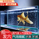 智宙魚(yú)缸增氧氣泡條水族增氧氣泵魚(yú)缸氣泡石氧氣簾條魚(yú)缸打氧泵低音 20cm砂條和氣泵套餐