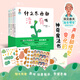 深見(jiàn)春夫“滴答滴答”圖畫(huà)書(shū)系列（全四冊）：什么東西都沒(méi)有哦、媽媽的臉、這是什么呢、肉乎乎