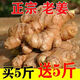 四川生姜老姜批發(fā)大黃姜現(xiàn)挖老黃姜月子姜土姜母姜老黃姜新鮮蔬菜 買5送5[凈重]超優(yōu)惠 9斤 現(xiàn)挖老姜[精選裝]推薦
