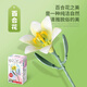 費米（Femibox）積木花束兒童拼裝積木玩具擺件男女孩生日禮物永生花 S2249-百合花黃57顆粒