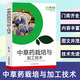正版速發(fā) 中草藥栽培與加工技術 人參金銀花銀杏中草藥栽培技術花果實種子類中草藥中藥材種植技術農業(yè)種植加工栽培技術書籍ys